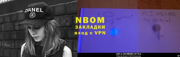 прущие грибы Баксан