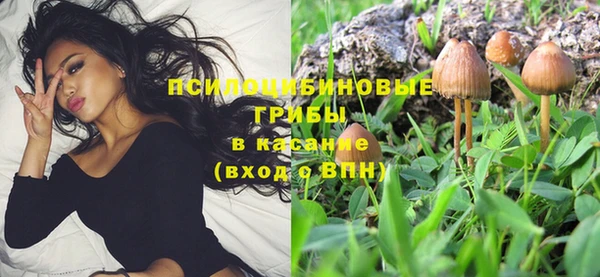 спиды Балахна