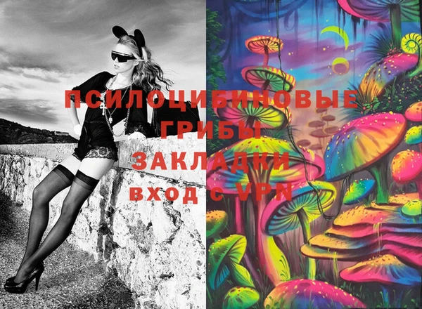 прущие грибы Баксан