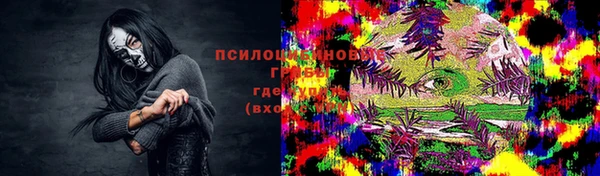 прущие грибы Баксан